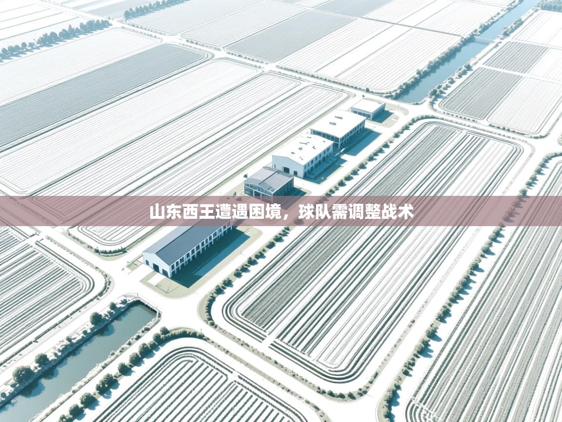 山东西王遭遇困境，球队需调整战术  第2张